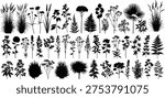 Cad drawing flat vector illustration of wild plants and flower silhouettes including grass, ferns, dandelions, reeds, and meadow botanical elements.