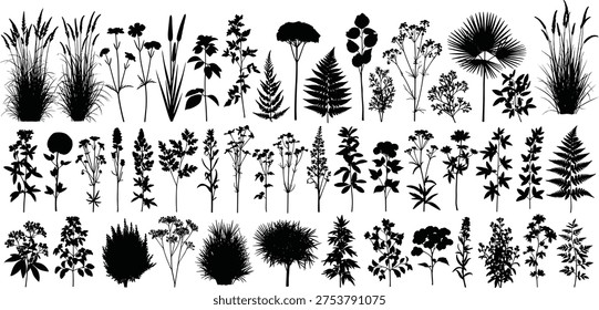 Cad drawing flat vector illustration of wild plants and flower silhouettes including grass, ferns, dandelions, reeds, and meadow botanical elements.