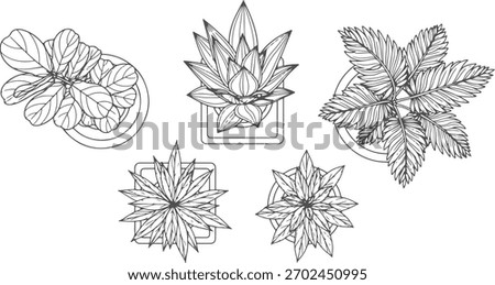 CAD Drawings. Top view of large decorative plants in pots. Vector illustration