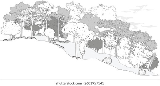 Cad tree line minimal style, set of graphics trees elements outline symbol for architecture and landscape design drawing. Vector illustration.