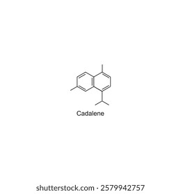 Cadalene skeletal structure.Sesquiterpene compound schematic illustration. Simple diagram, chemical structure.