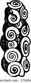 Caddice made by larva of trichoptera, vintage line drawing or engraving illustration.