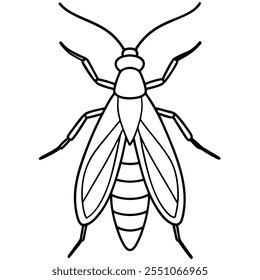 Caddisfly insect flat vector illustration on white background