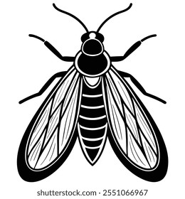 Caddisfly insect flat vector illustration on white background