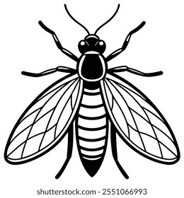 Caddisfly insect flat vector illustration on white background