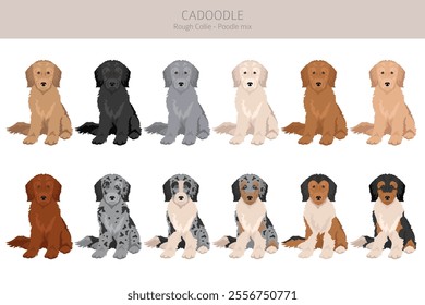 Cadoodle clipart. Rough Collie Poodle mix. Different coat colors set.  Vector illustration