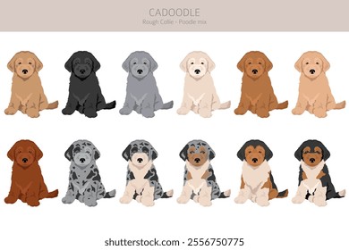 Cadoodle clipart. Rough Collie Poodle mix. Different coat colors set.  Vector illustration