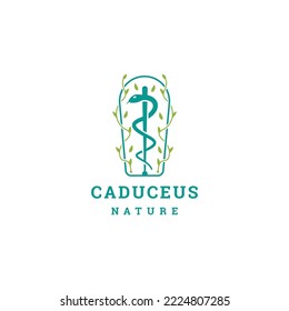 Caduceus leaf tree logo design template flat vector