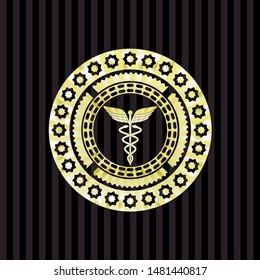 Caduceus medical icon inside gold emblem