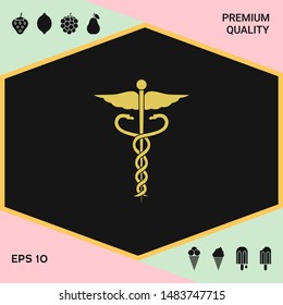 Caduceus medical symbol icon. Graphic elements for your design