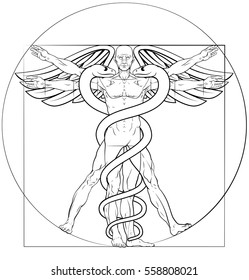 Caduceus Medical Symbol Vitruvian Man Concept With Figure Like Leonard Da Vinci Anatomy Drawing