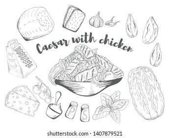 Caesar with chicken Salad. Hand drawn sketch. Organic food. Vector illustration on white background