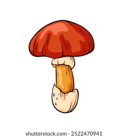 Caesar mushroom with a red cap and orange stem in cartoon style. Design for food, culinary, nature project, foraging guides and educational materials.