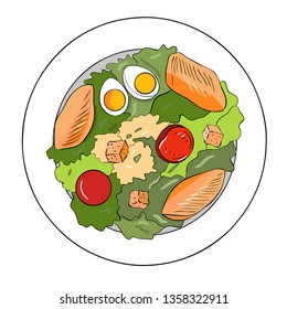 Caesar salad with chicken breast, croutons, eggs and tomatoes on the plate isolated on white background. Vector