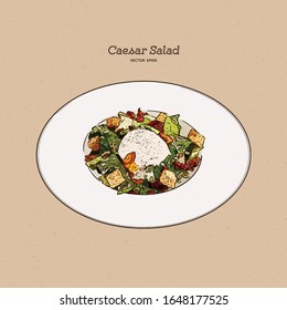Caesar salad, hand draw sketch vector.
