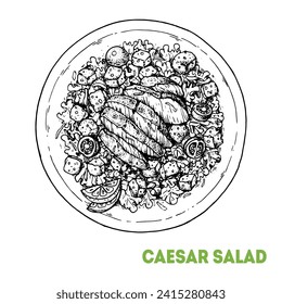 Caesar salad hand drawn sketch. Top view. Caesar salad with chicken. Vector illustration.