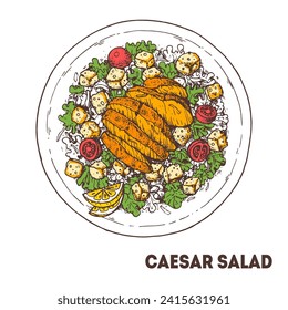 Caesar salad hand drawn sketch. Top view. Caesar salad with chicken. Vector illustration.