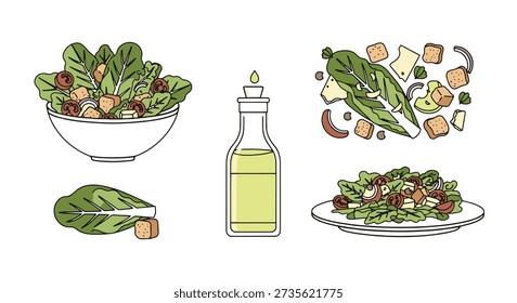 Caesar Salad Line colorful digital illustration