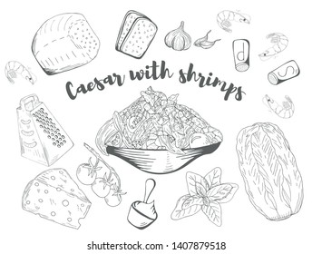 Caesar with shrimps Salad. Hand drawn sketch. Organic food. Vector illustration on white background