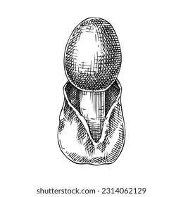 Caesars Pilzskizze. Essbare Fungus-Illustration. Handgezeichnete Waldpflanze. Aufnehmbare Pilzzeichnung einzeln auf weißem Hintergrund. Gestaltungselement für gesunde Lebensmittel