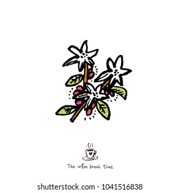 Cafe poster / Sketchy coffee illustration - vector