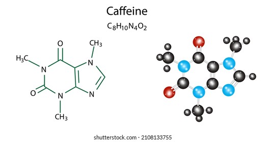 Struktur des Koffeinmoleküls. Skelettformel. Chemische Verbindung. Wissenschaftliche Forschung. Vektorgrafik. Stockbild.