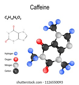 Caffeine is stimulant of a central nervous system. psychoactive drug. Structure of a molecule. chemical formula and model of the Caffeine molecule. vector illustration for medical, educational use