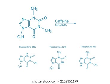 Coffein strukturelle chemische Formel und Paraxanthin, Theobromin, Theophyllin. Einzeln auf weißem Hintergrund. Koffein ist ein stimulierendes Mittel des Zentralnervensystems. Medizinische und wissenschaftliche Konzepte. Vektorgrafik.