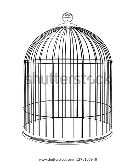 contour cage