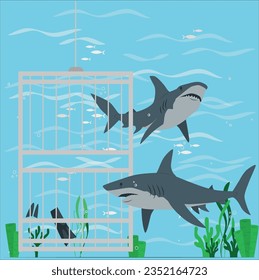 Cage diving with Great White shark coming to you on deep blue ocean background. Diver in diving cage observing a great white shark vector isolated. Swimming biology research. 2355