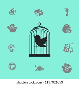 cage life and transport of birds vector icon