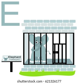  caged  elephant baby