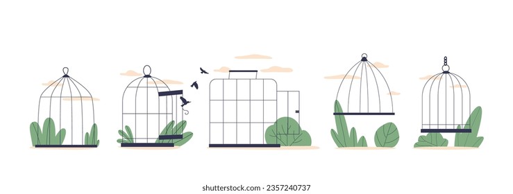 Cages, Enclosed Structure For Birds, With Bars For Perching And Feeding. Provides Shelter And A Safe Environment