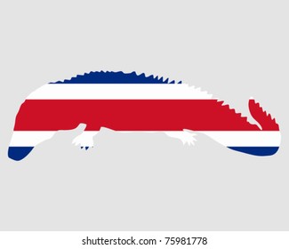 Caiman Costa Rica