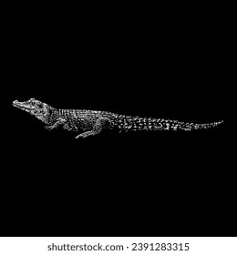 caiman hand drawing vector isolated on black background.