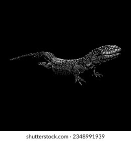 caiman lizard hand drawing vector isolated on black background.