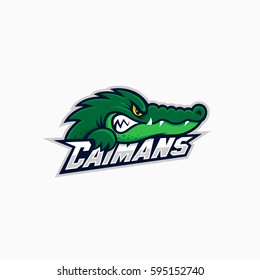 Caiman mascot for a sport team on a white background. Vector illustration.