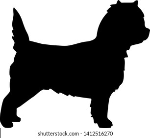 Cairn Terrier in black with silhouette