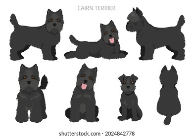 Cairn terrier clipart. Different poses, coat colors set.  Vector illustration