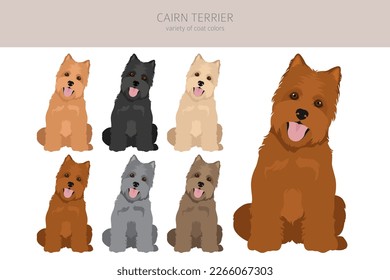 Cairn terrier clipart. Different poses, coat colors set.  Vector illustration