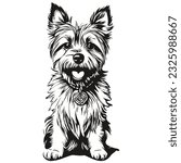 Cairn Terrier dog engraved vector portrait, face cartoon vintage drawing in black and white realistic breed pet