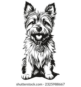 Perro Cairn Terrier retrato vectorial grabado, dibujo vintage de caricatura en una raza realista en blanco y negro