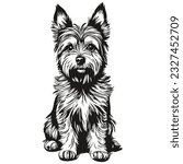 Cairn Terrier dog face vector portrait, funny outline pet illustration white background realistic pet silhouette