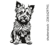 Cairn Terrier dog hand drawn logo drawing black and white line art pets illustration sketch drawing