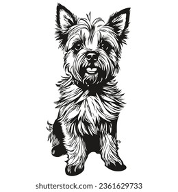 Cairn Terrier dog realistic pet illustration, hand drawing face black and white vector