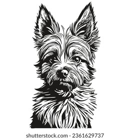 Cairn Terrier dog realistic pet illustration, hand drawing face black and white vector sketch drawing