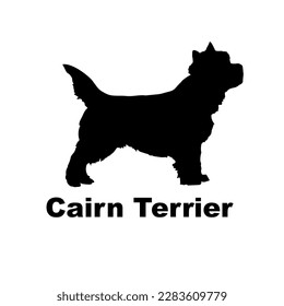  cairn terrier dog silhouette dog breeds