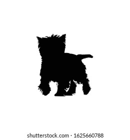 Cairn Terrier dog silhouette vector illustration