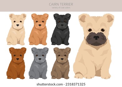 Cícalo de los cachorros de Cairn terrier. Postas diferentes, colores de abrigo.  Ilustración del vector