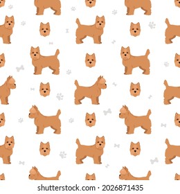 Cairn terrier seamless pattern. Different poses, coat colors set.  Vector illustration